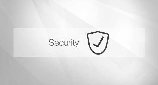 Sicherheit Security